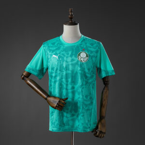 Dres Trening dres Palmeiras 26/27