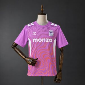 Dres Fan Coventry City 26/27 treći