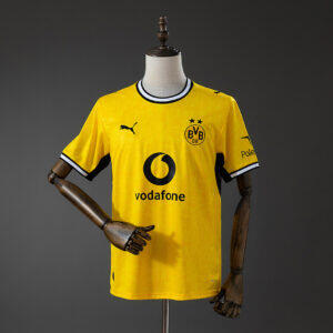 Dres Fan Dortmund 26/27 domaći